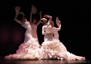 Compania Danza Flamenca Virginia Delgado